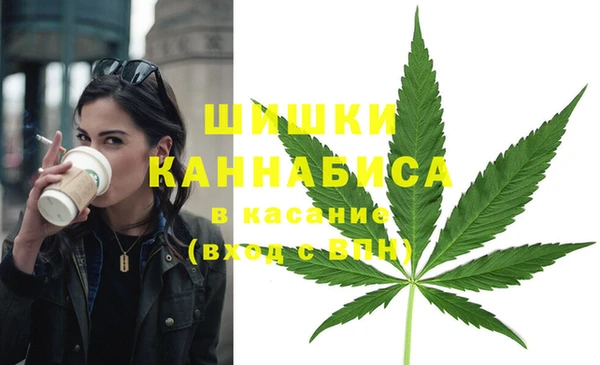 стафф Козельск