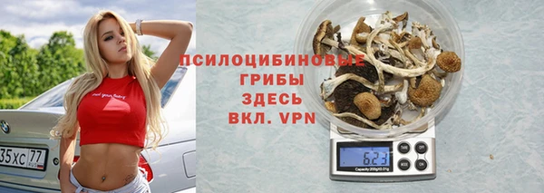 индика Коряжма