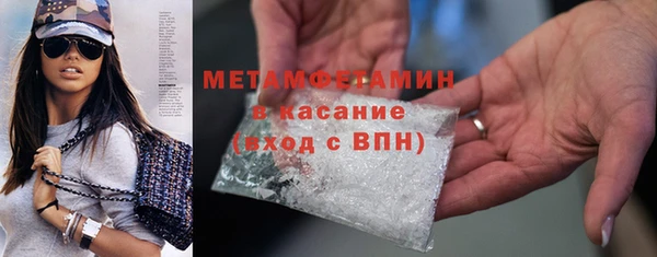 прущие грибы Костерёво