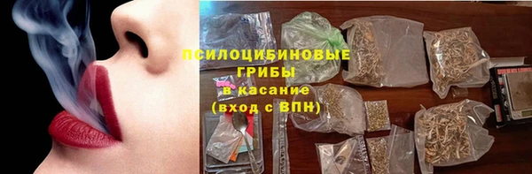 стафф Козельск