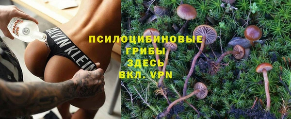 прущие грибы Костерёво