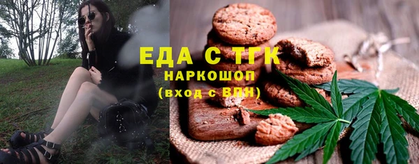 индика Коряжма