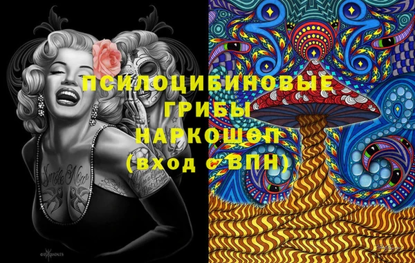 индика Коряжма