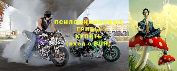 стафф Козельск
