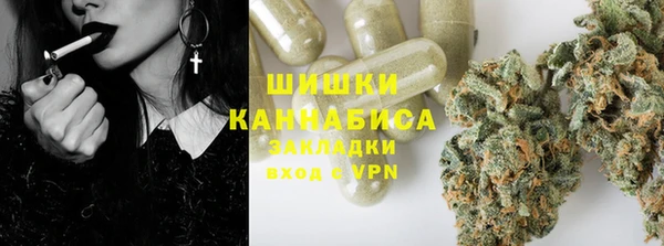 стафф Козельск